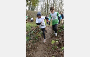 549e9013c1717_crossrigautoupayrin20104112.JPG