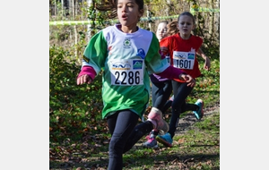58738b94388f9_afgimgrsz1.jpg