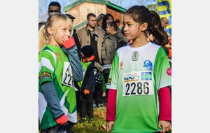 58738b94c6393_afgimgrsz.jpg